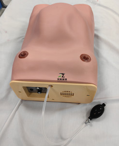 2025 máy tính chất lượng cao Phụ nữ mang thai kiểm tra mô hình bốn phần sờ nắn mô hình đào tạo giảng dạy y tế - Product Image 3