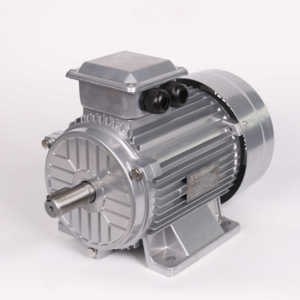 Moteur triphasé série IE2/IE3 à prix abordable, moteur asynchrone triphasé, moteur de machine - Product Image 4
