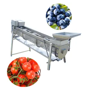 Máquina separadora de tallos de arándano Máquina de procesamiento de eliminación de tallos de fruta despalilladora de espino