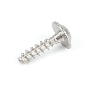 ステンレス钢Torxソケットパンヘッドタッピングネジフラットテール付きプラスチック用 - Product Image 3