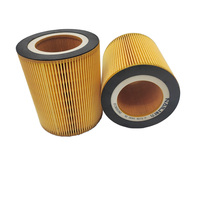 Filtro de Aire de Repuesto para Compresor de Aire Importado de Alta Calidad Tipo Tornillo C1250, Códigos 1613872000 6611411134