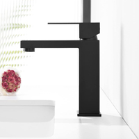 Robinet de lavabo en acier inoxydable noir