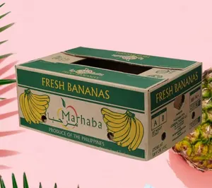 Custom Logo Avocado Bosbessen Banaan Fruit Verzending Doos Gegolfd Kraft Papier Verpakking