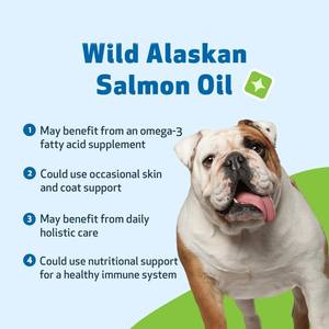Vente chaude soutient l'articulation et le système immunitaire des animaux de compagnie soins de santé pour animaux de compagnie et suppléments huile de saumon avec du saumon sauvage d'Alaska - Product Image 2