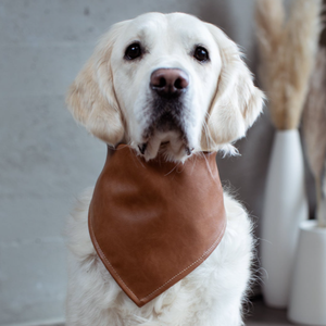 Venta caliente cuero perro Bandana impermeable mascota Bandana Collar portátil perro bufanda Bandana - Product Image 3