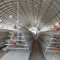 Cage à poules pondeuses galvanisée à chaud, 4 niveaux, 128 poules, type A