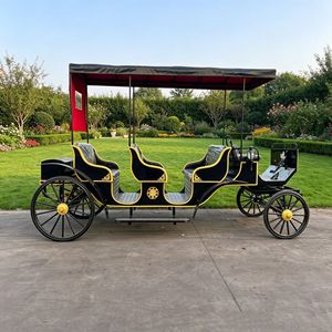Carroza de Caballos de Acero para 6 Personas, Carroza Turística con Ruedas Decorativas de Acero para Visitas Turísticas en Resorts - Product Image 6