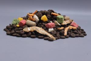 Petites <span class=keywords><strong>croquettes</strong></span> sans additifs artificiels |   Nourriture sèche pour chats <span class=keywords><strong>bio</strong></span> |   Probiotiques pour les soins digestifs - Product Image 2