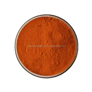 Additivo alimentare riboflavina/vitamina B2 in polvere CAS 83-88-5