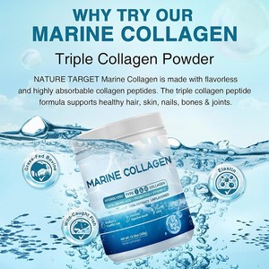 Polvo de péptidos de colágeno bovino de proteínas vitales, ayuda a formar colágeno y reduce el dolor articular asociado con <span class=keywords><strong>amino</strong></span>ácidos, sin anuncio - Product Image 3