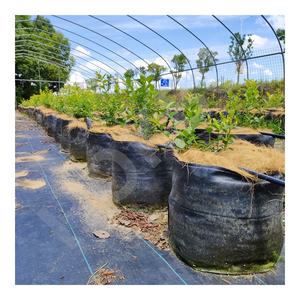 HOKBG Agrícola Venta al por mayor Granja al aire libre 45 50 60 200 galones Bolsa de maceta negra tejida PP grande Bolsa de cultivo de jardín para arándanos - Product Image 1