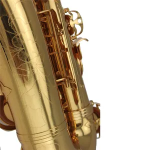 Huasheng müzik aletleri bariton Saxophone saksafon ucuz Alto saksafon profesyonel dökün