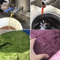 Industriële Hydraulische Elektrische Koude Pers Fruitpers Druivenpersmachine Druivenpersmachine Druivenbreker Destemmer Druivenbreekmachine