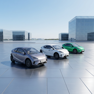 <span class=keywords><strong>Mini</strong></span> <span class=keywords><strong>Triciclo</strong></span> Eléctrico Cerrado con Motor de 5000W para Adultos, <span class=keywords><strong>Triciclo</strong></span> Invertido de Tres Ruedas, Carrocería Cerrada, Frenos de Disco Delanteros, 50-70km/h - Product Image 6