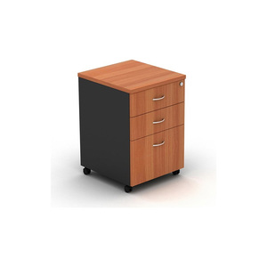 Meuble de rangement contemporain pour bureau, conçu pour une organisation d'espace de travail propre et un accès facile aux documents - Product Image 1