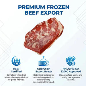Cortes de Carne de Res Congelada de Primera Calidad, Venta al por Mayor, Halal, para Procesamiento, Grado de Exportación - Product Image 6