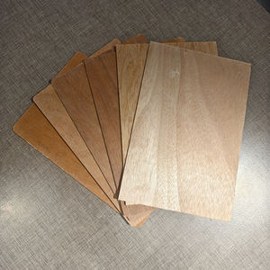 Soluciones de Chapa de Madera de Ingeniería que Mejoran el MDF y el Contrachapado con Tecnología de Prensado en Caliente - Product Image 3