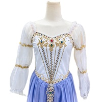 AL-R1014 Superbe robe de ballet romantique bleu dégradé avec broderie dorée, tenue de danse pour spectacle sur scène, sur mesure pour adultes et filles