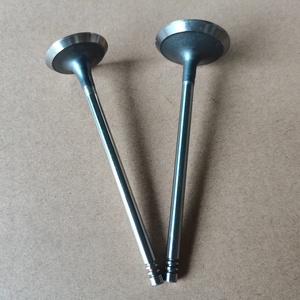 Pièces de moteur 55194993 55194994 soupape de moteur pour <span class=keywords><strong>fiat</strong></span> 1.2l 1.4 flexible à vendre - Product Image 3