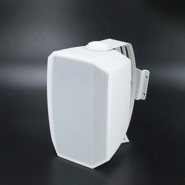F-LHY6.5Q Professional 6.5 Inch Woofer 40W Two-way Audio Plastic Passive Speaker IP65 Customized PA System Wall Mounted Speaker