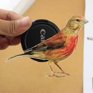 Impresión de etiquetas de cosméticos de etiqueta privada personalizada con estampado de oro caliente etiquetas de embalaje de alimentos de seguridad, Impresión de servicio en línea - Product Image 3