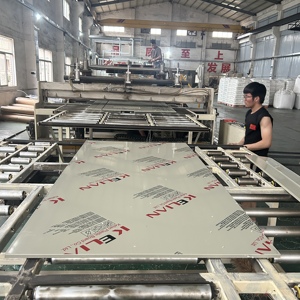 Tấm Nhựa <span class=keywords><strong>PP</strong></span> Ván Khuôn PVC Ván Khuôn Bê Tông Xây Dựng - Product Image 3