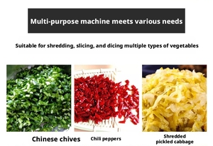 Upgraded Model 801 Dual-Head Multifunctional <b>Vegetable</b> <b>Cutter</b> 220V Stainless Steel Slicing Dicing Machine 140KG 116x53x120cm - Product Image 6