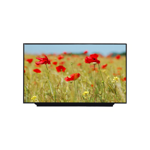 Écran d'ordinateur portable 17.3 "120Hz B173HAN04.7 pour MSI MS-17F2 ASUS FX706LI FX706IU écran matriciel LCD IPS panneau FHD 1920x1080 40pin EDP - Product Image 1