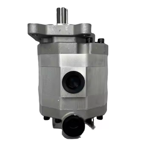 2CB-FC25-25BLHR Doppelzahnradpumpe für Tierhaltungsmaschinen, Hohe Qualität & Günstiger Preis - Product Image 1