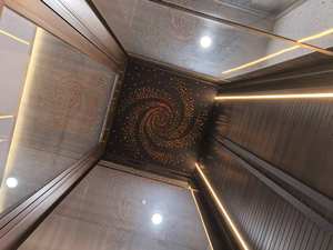 Компактный домашний лифт для 2-4 человек, мини-лифт для жилых помещений и вилл - Product Image 6