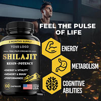 Shilajit OEM/ODM pour le soutien immunitaire, capsules de Shilajit de l'Himalaya, capsules d'extrait de Shilajit, soutien cérébral, supplément d'acide fulvique