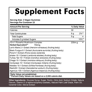 High Quality 10-IN-1 <b>Blend</b> Blueberry Flavor Mushroom Gummies Support Calm Mood & Relaxation Immune Support - Product Image 2