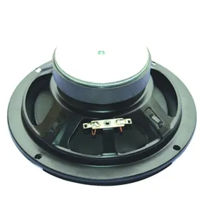 6.5 Inch 8 Ohm 30W Subwoofer Audio Luidspreker Unit