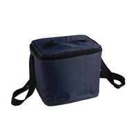 Sac isotherme transporteur de vaccin médical