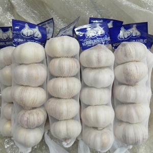 Ajo Blanco Puro de Primera Calidad, Ajo Rojo, Precio de Fábrica, Certificado GAP de China, Glod County, de Fábrica de Ajo Blanco Normal - Product Image 1
