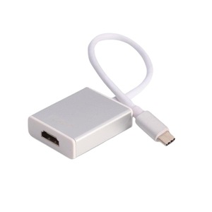 Câble adaptateur type C vers HDMI, convertisseur USB vers HDMI à tête unique pour écran d'affichage, gris argenté - Product Image 1
