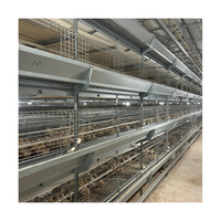 Système de cages automatiques pour poussins pondeuses d'un jour et poussins de chair de type H, en acier galvanisé à chaud, conception brevetée