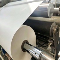 Papier de sublimation pour transfert thermique en gros, pas cher, 70 g/m², 64 pouces, fabricant chinois