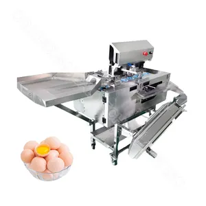 New design egg york separator with low price
