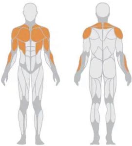 เครื่องฝึกกล้ามเนื้อหน้าอกแบบปรับระดับได้ รุ่น Heavy Duty สำหรับการออกกำลังกายกล้ามเนื้อส่วนบนของร่างกาย - Product Image 4