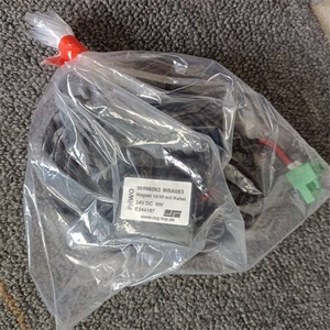Vanne solénoïde Rsg 98998002+98996083 AC 220 V Métal Température normale Utilisation industrielle - Product Image 4