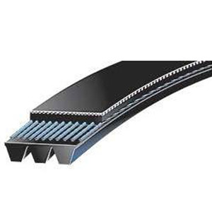 Correas Poly V Acanaladas PH PJ PK PL PM Tipo de Núcleo Elástico Correa Poly V - Product Image 3