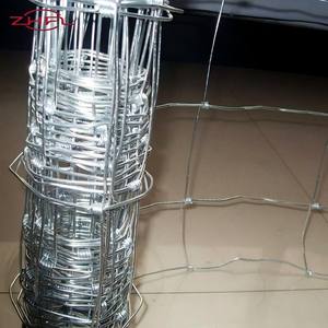 Bande transporteuse en maille métallique en acier inoxydable, directement de l'usine, pour le tri des myrtilles - Product Image 6