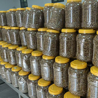Aliment pour Tortues et Oiseaux à Haute Teneur en Protéines, Vers de Farine Séchés, Aliment pour Poissons, Supplément de Croissance pour Gerbilles, Bidon de 25 kg, Export en Vrac