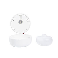 Mini ventilateur sans eau, commande par application, diffuseur de parfum commercial pour plafond, diffuseur d'huiles essentielles, machine