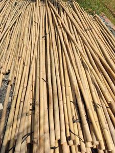 Palos de soporte para Plantas | Bambú tratado a medida 100% | Fabricante - Product Image 4