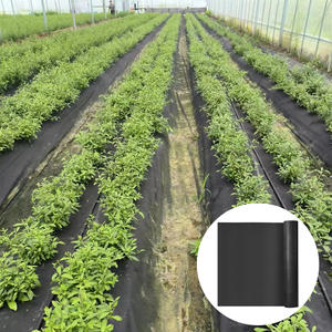 Toile <span class=keywords><strong>de</strong></span> <span class=keywords><strong>paillage</strong></span> agricole non <span class=keywords><strong>tissée</strong></span> personnalisée, écologique, anti-UV, en PP, 60 g/m², à 4 trous <span class=keywords><strong>de</strong></span> plantation - Product Image 4