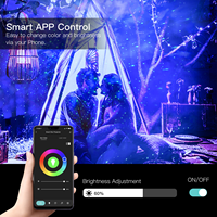 Projecteur Wifi avec Nebula Cloud Star Sky projecteur lampe avec Alexa Google Home projecteur Laser intelligent