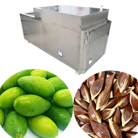 Commerciële Hoge Capaciteit Olijf/Pruim/Dadelkern En Zaadverwijderaar Machine-Automatische Fruitputjes Voor Verwerkingsbedrijven