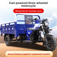 Tricycle à moteur à trois roues à essence avec boîte de chargement lourde de 250 cm3